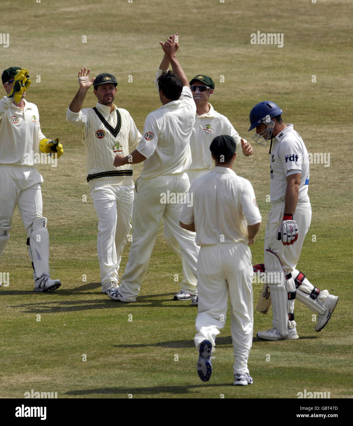 The Australian team celebrate after taking the wicket of Sussex's Michael Yardy (right) off the bowling of Australia's Ben Hilfenhaus (centre) during the tour match at the County Ground, Sussex. Stock Photo