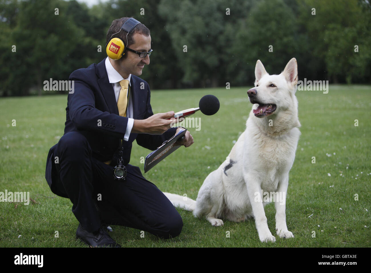 Frequently Asked Questions About What Dog Has the Loudest Bark