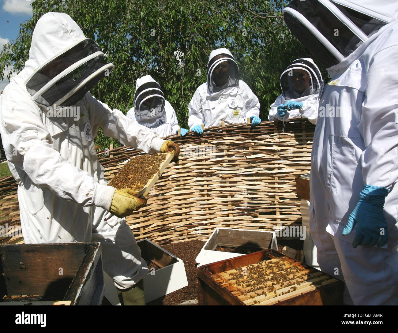 Chief Bee Advisor for Kew Gardens Tony Smith (left) and Horticulturalist Alison Smith (right), watched by Kew trainee beekeepers, reintroduce some 20,000 honeybees into two new hives at Kew Gardens. Stock Photo