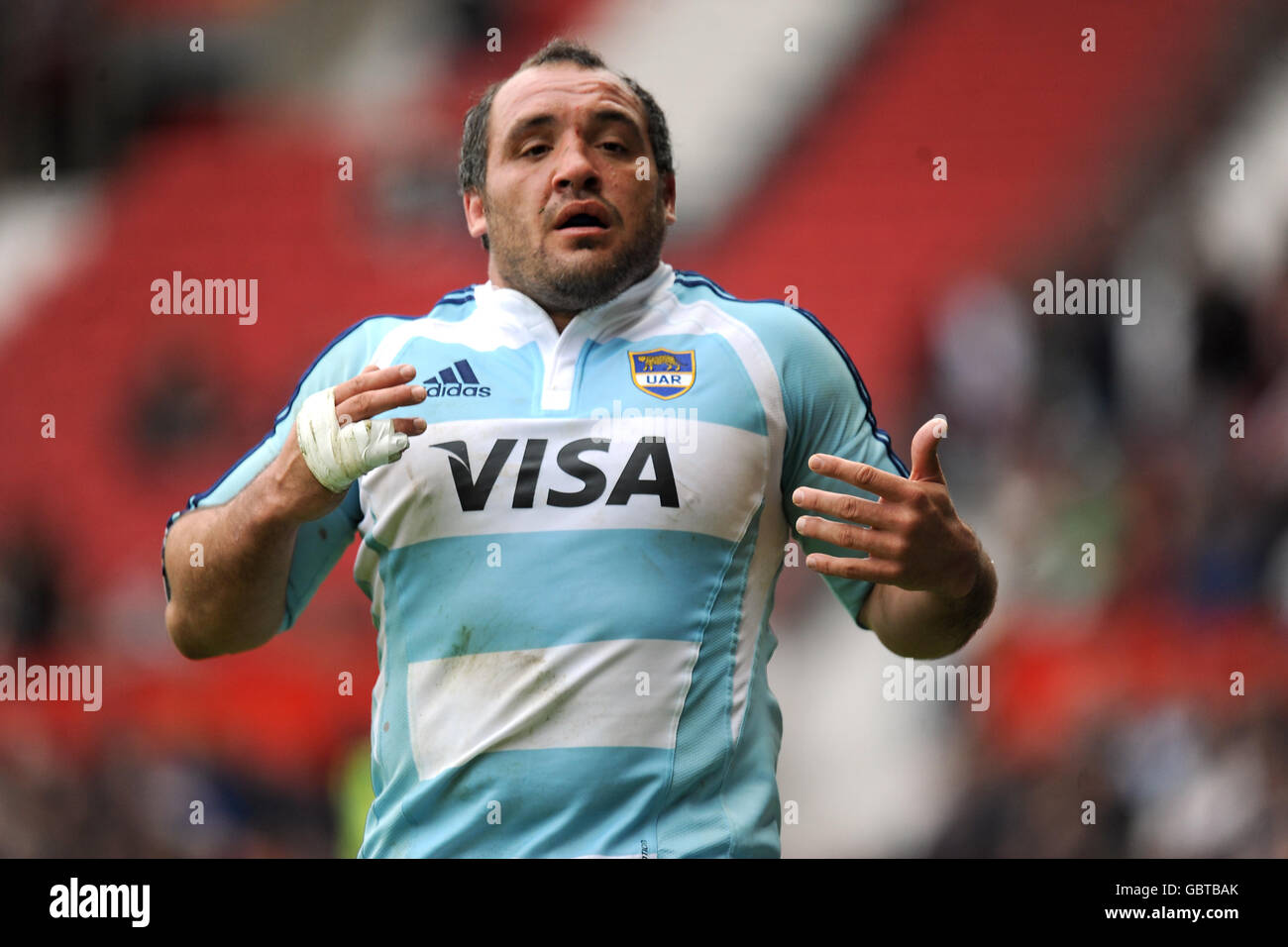 Rugby strapping strap visa addidas hires stock photography and images