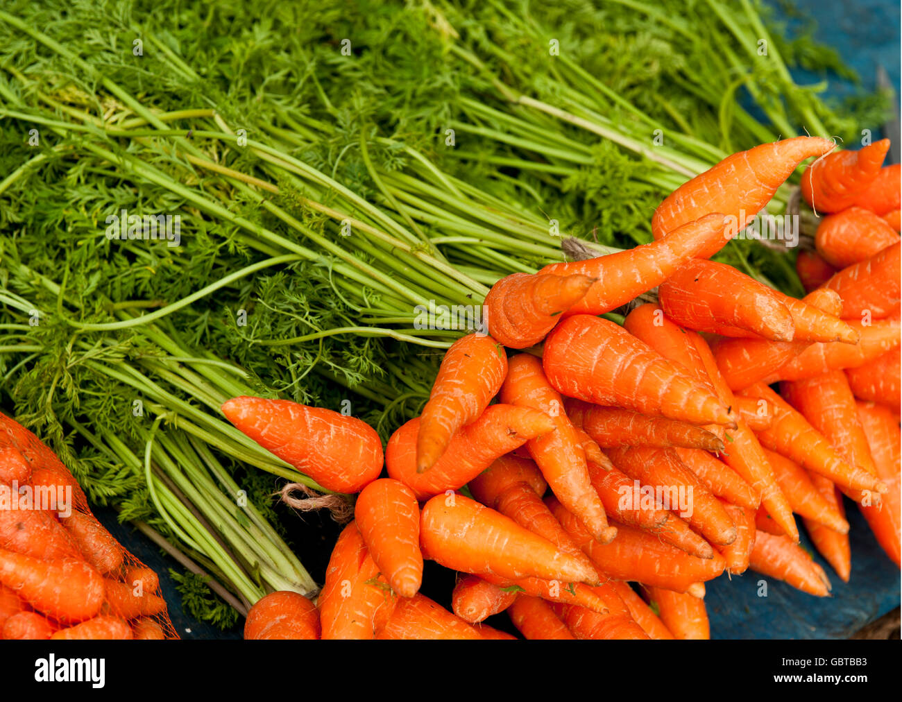 Display of fresh farm raw organic carrots with green leafy stems. Stock Photo