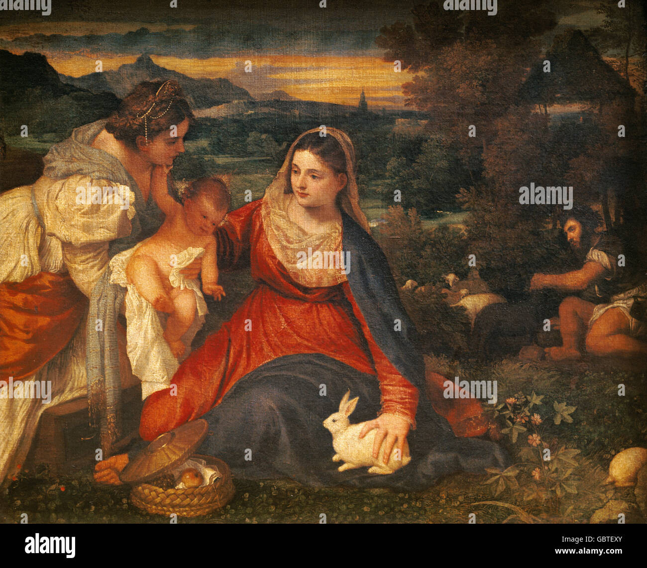 Baby anim hi-res stock photography and images - Alamy