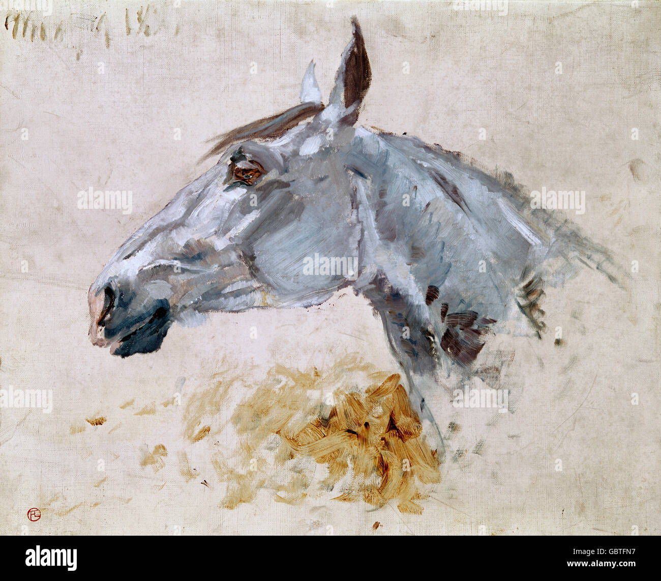 fine arts, Toulouse-Lautrec, Henri de (1864 - 1901), painting, 'Cheval blanc 'Gazelle'' (The white horse 'Gazelle'), 1881, Museum Albi, Stock Photo
