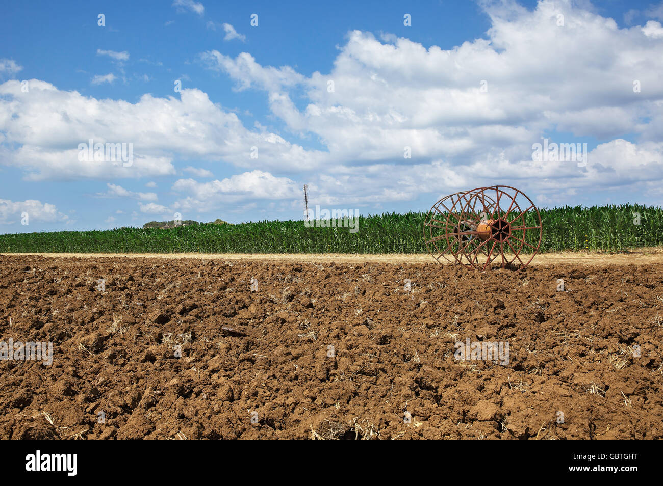 Maize field with road hi-res stock photography and images - Alamy
