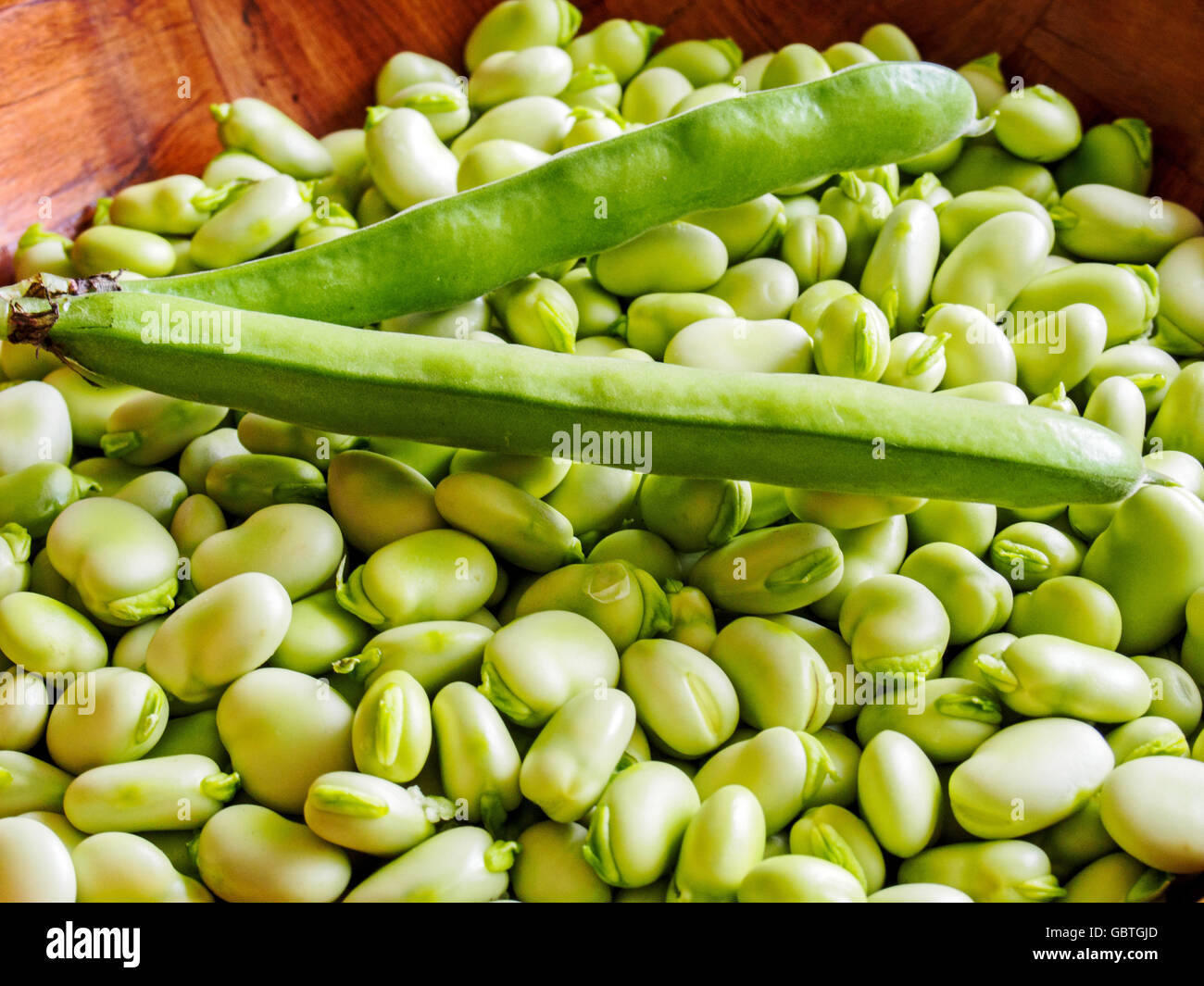 Podded broad beans hires stock photography and images Alamy