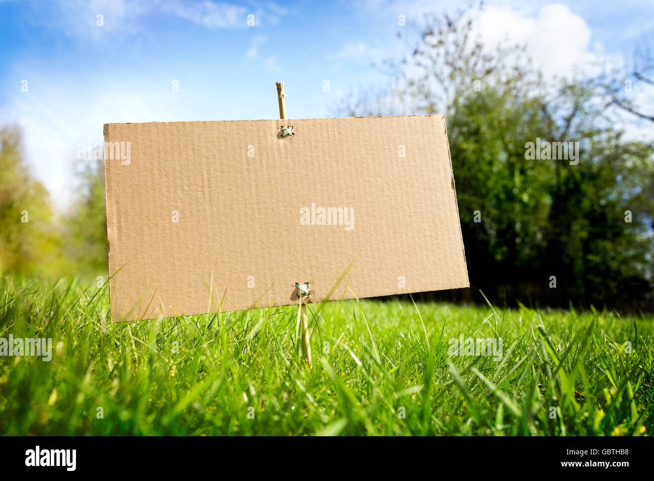 Blank cardboard sign on grass in nature ready for text message Stock Photo
