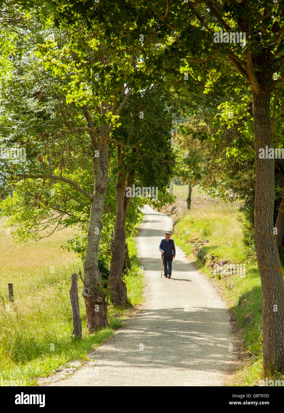 Man walking country lane hi-res stock photography and images - Alamy