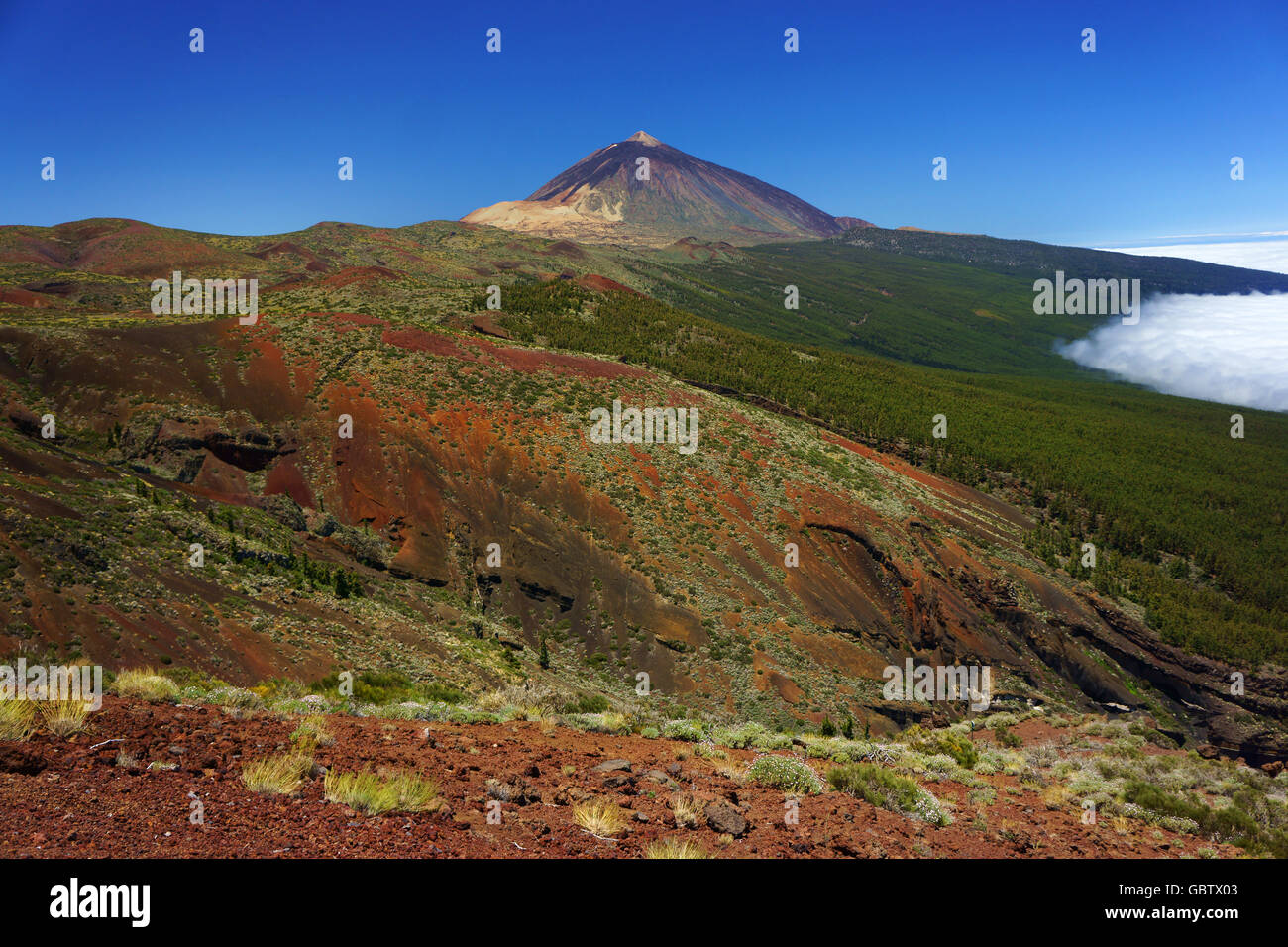 Teide volcano and volcanic ash in vegetation and low laying clouds, Teide National Park, Teneriffe, Canary islands, Spain Stock Photo