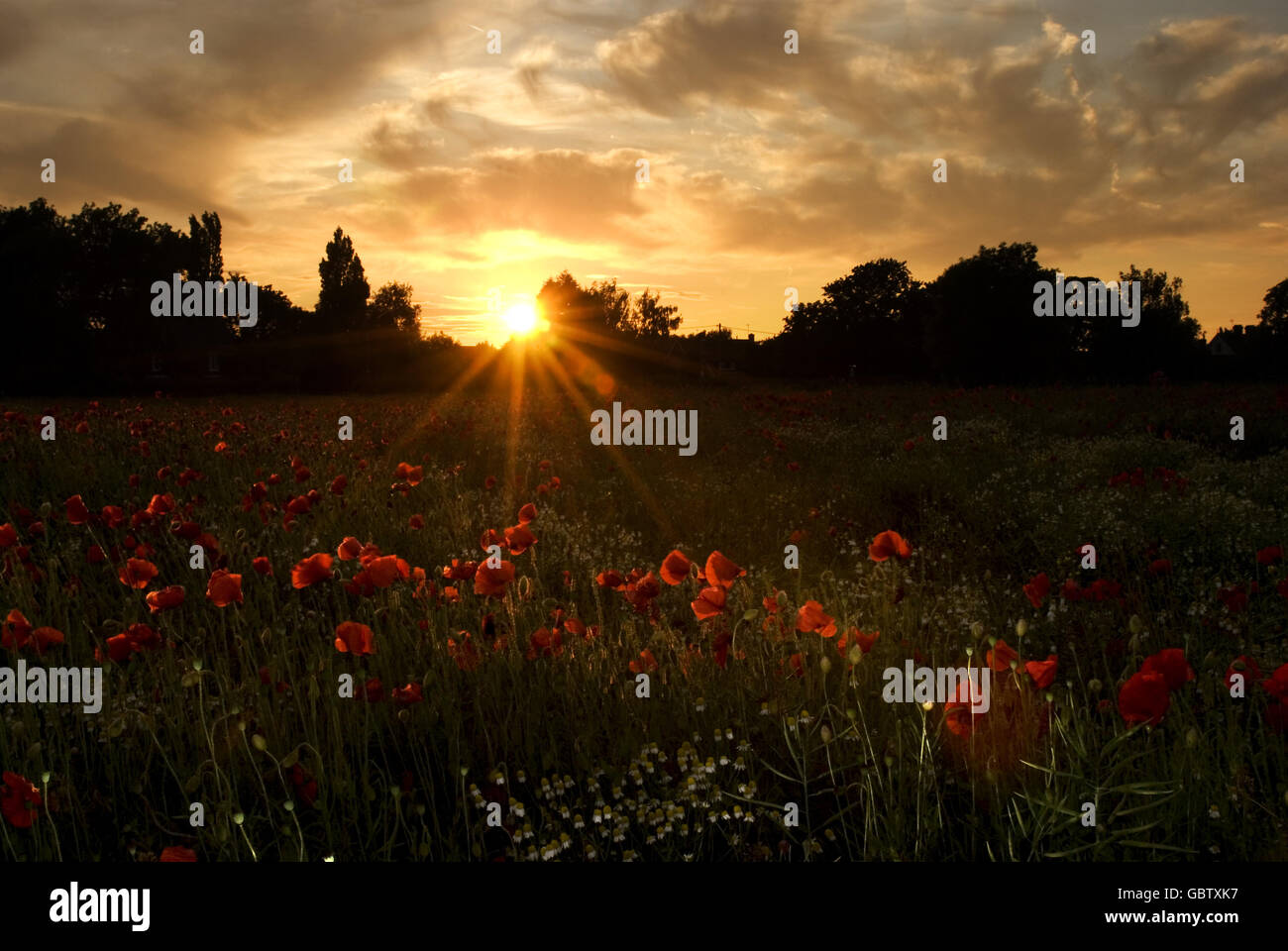 Bottesford hires stock photography and images Alamy