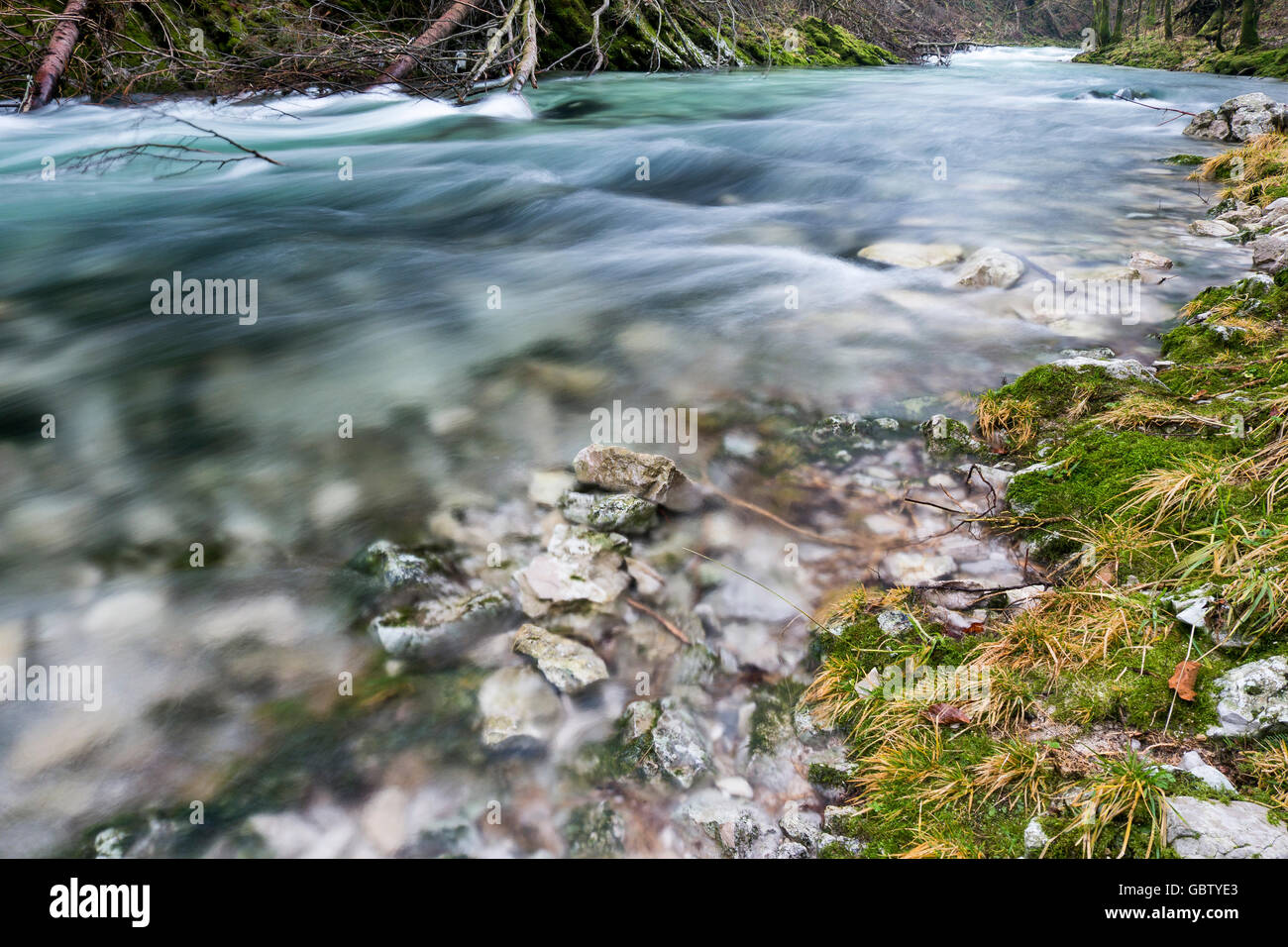 Slovenia, The Vintgar gorge, Radovna river Stock Photo