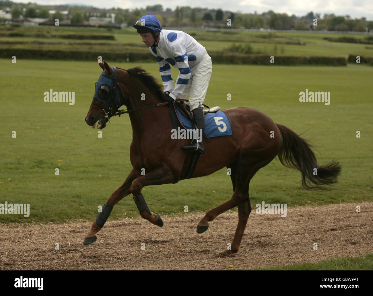 Alrafid ridden by Philip Hide going to post for the Dorothy Goodbody's Claiming Hurdle Stock Photo