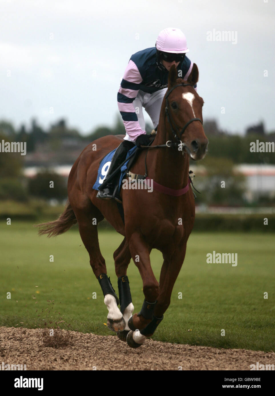 Horse Racing - Wye Valley Brewery Day - Hereford Racecourse. Naxox ridden by William Biddick going to post for the Barrels Hereford Handicap Chase Stock Photo