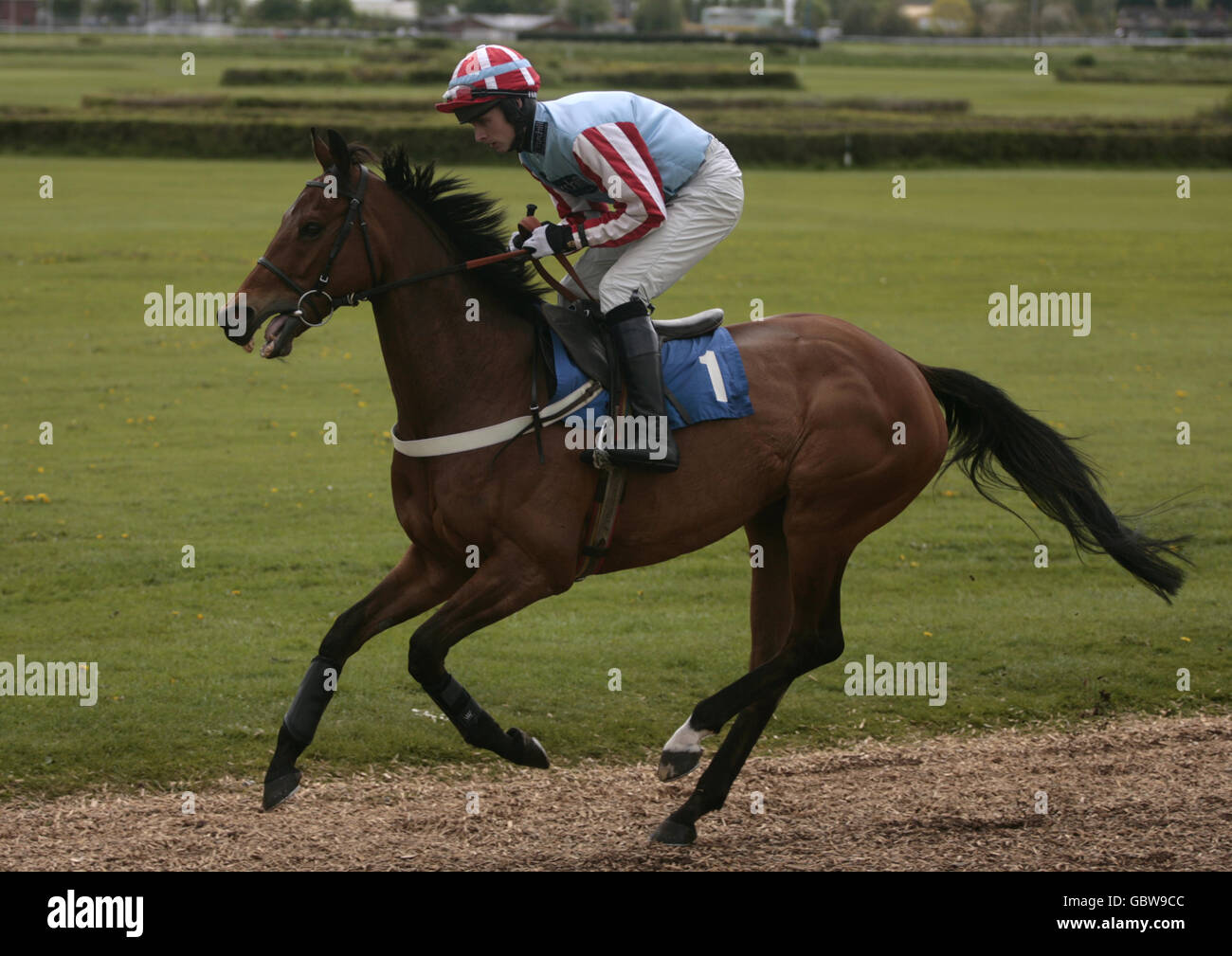 Horse Racing - Wye Valley Brewery Day - Hereford Racecourse Stock Photo