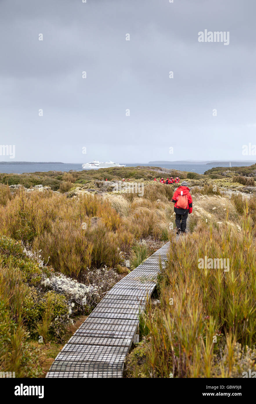 Expedition ship passengers on boardwalk at Enderby Island, Auckland Islands, New Zealand, with French expedition ship Le Soleal Stock Photo