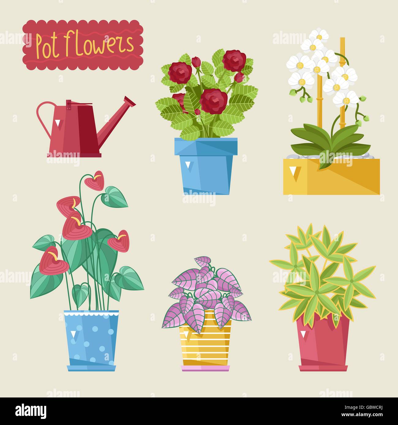 Beautiful house plants Stock Vector Image & Art - Alamy