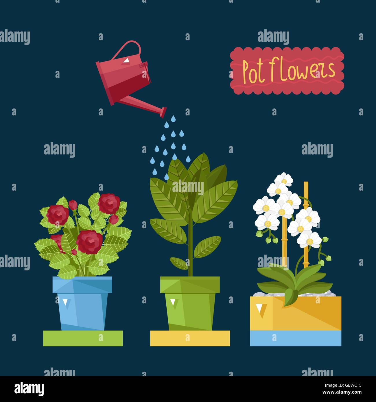 Beautiful house plants Stock Vector Image & Art - Alamy