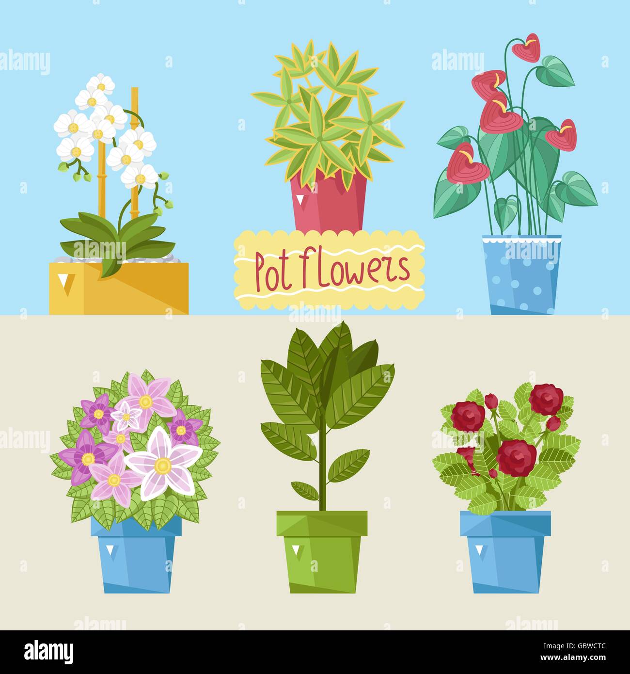 Beautiful house plants Stock Vector Image & Art - Alamy