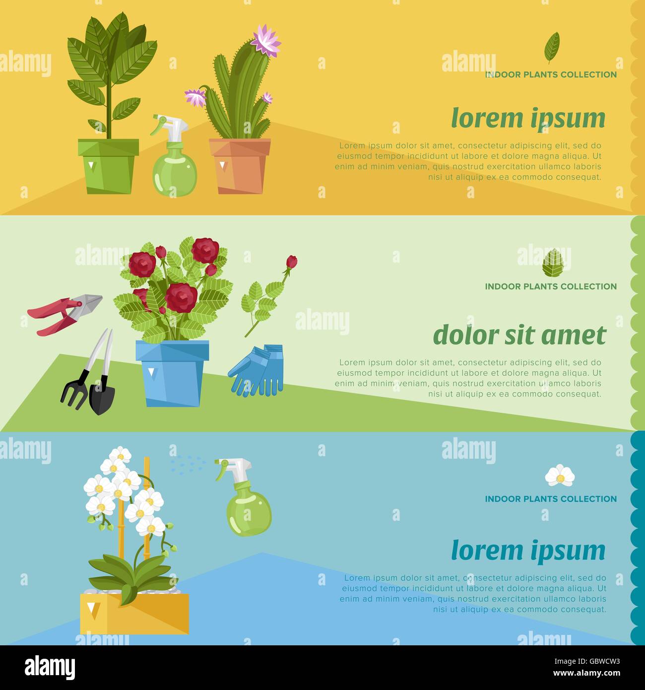 Beautiful house plants Stock Vector Image & Art - Alamy