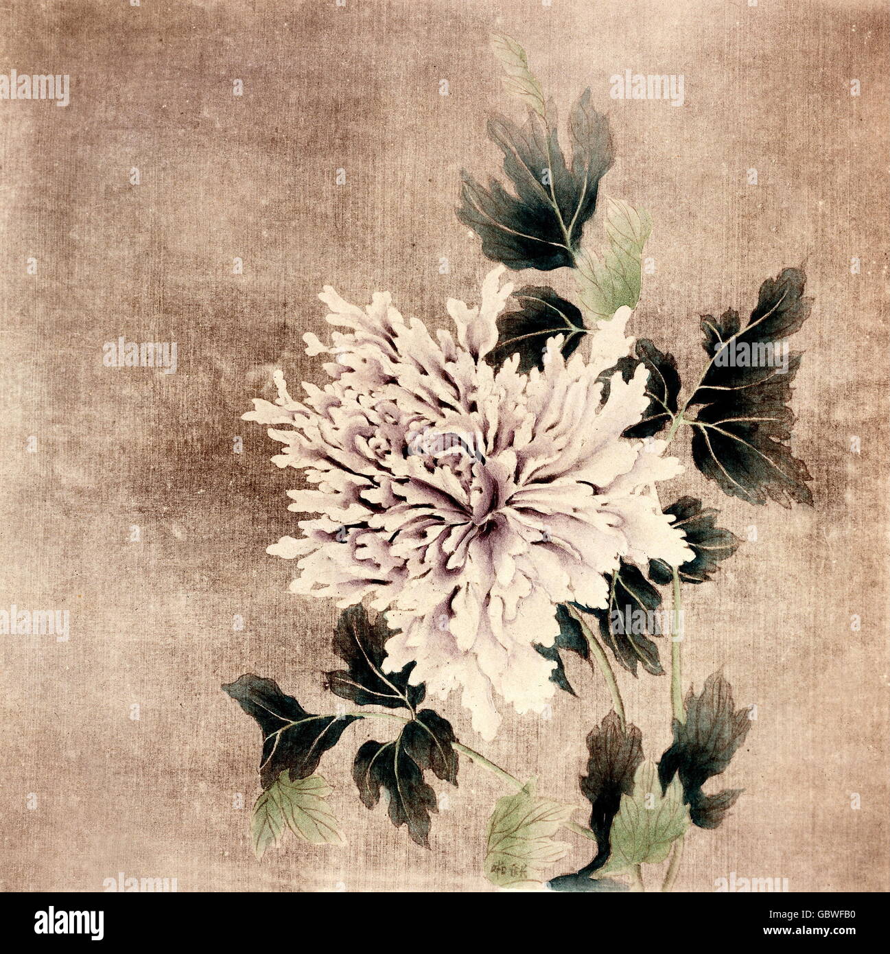 fine arts, China, full blossomed peony, watercolour on silk, painter of the court painting workshop, Sung Dynasty, 960 - 1127, National Museum Taipeh, Stock Photo