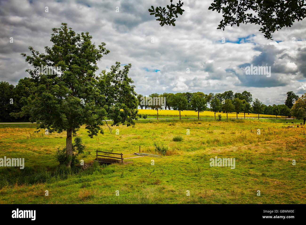 Image of summer pasture lands in rural setting. Skane, Sweden. Stock Photo