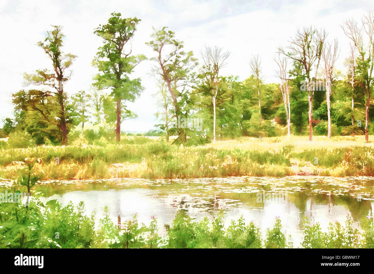 Image of green lush forest landscape, painted in watercolor Stock Photo ...