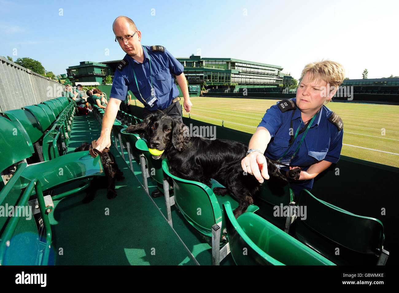 A sniffer dog finds a tennis ball as they check court 14 during the