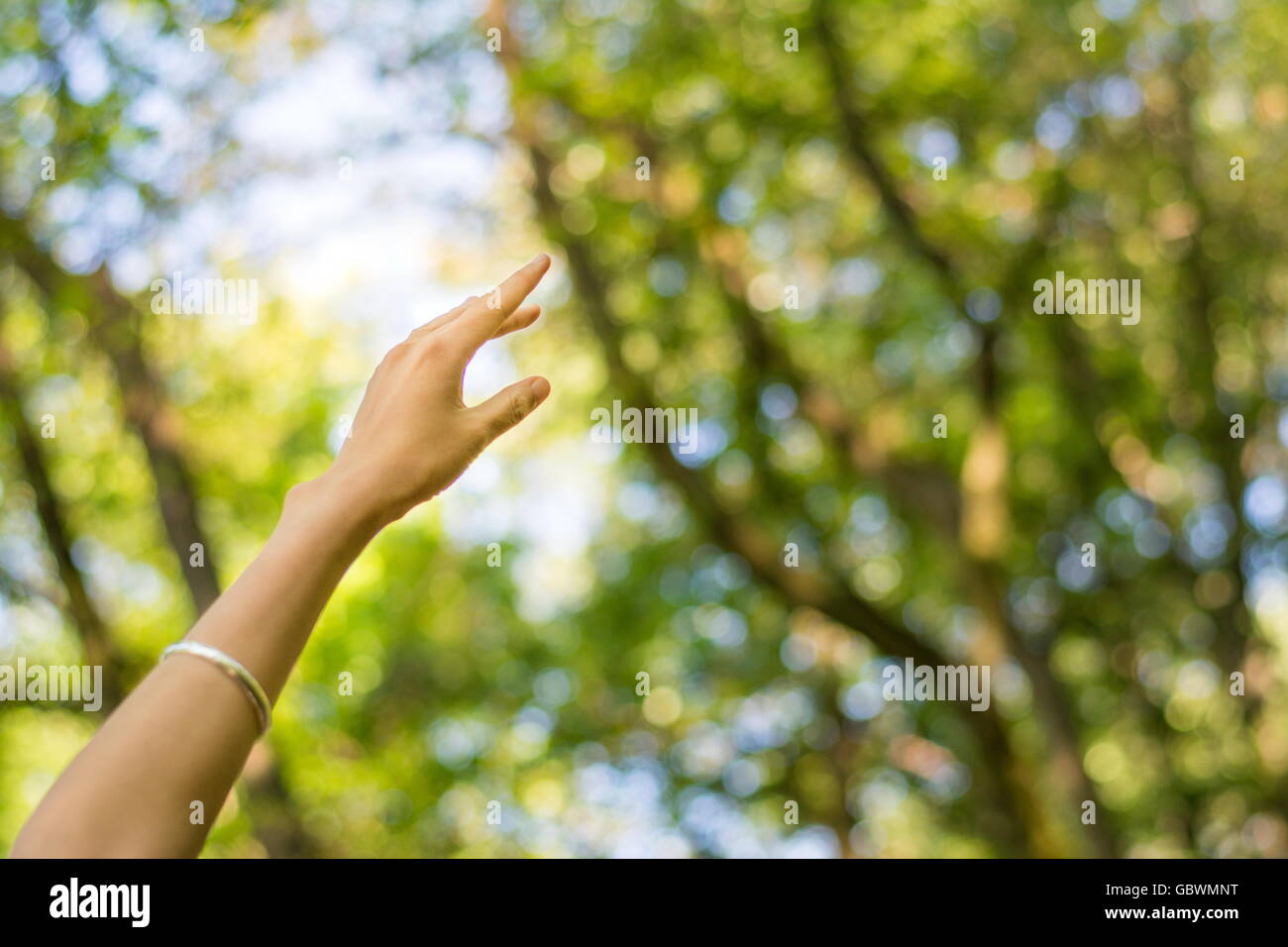 Woman hand reaching towards nature, trees and sky Stock Photo