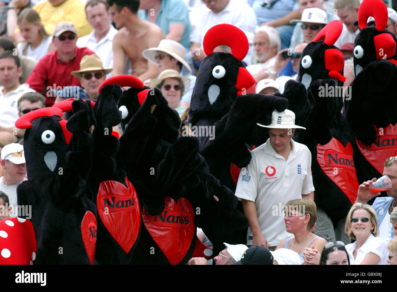 Cricket full length fancy fan spectator nando chicken hires stock