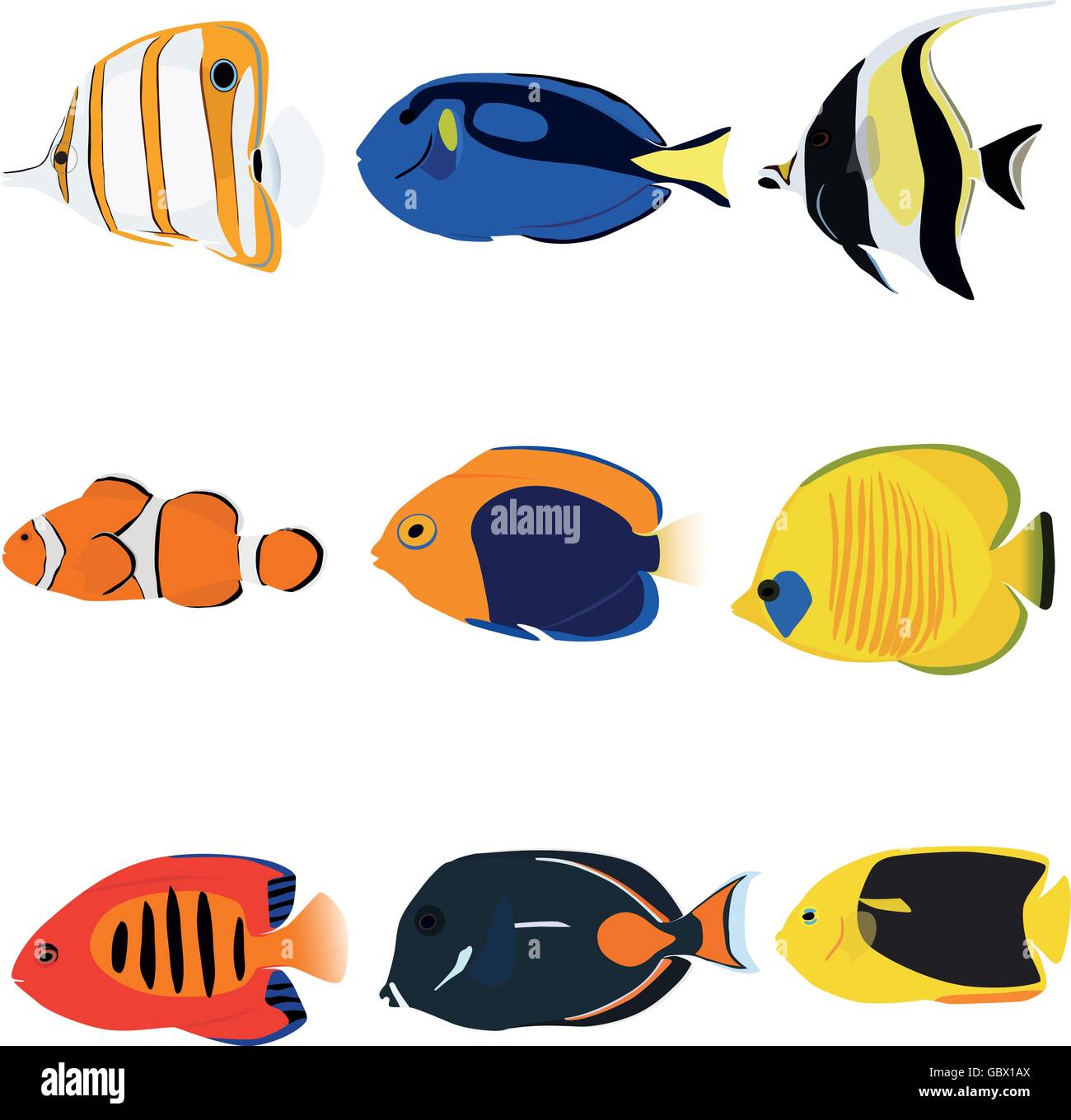 Tropical fishes set containing nine fishes: Copperband Angelfish, Blue Tang, Moonrish Idol, Clownfish, Flameback Angelfish, Mask Stock Vector