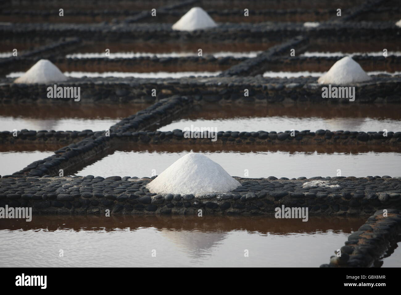the Salinas of Las Salinas on the Island Fuerteventura on the Canary island of Spain in the