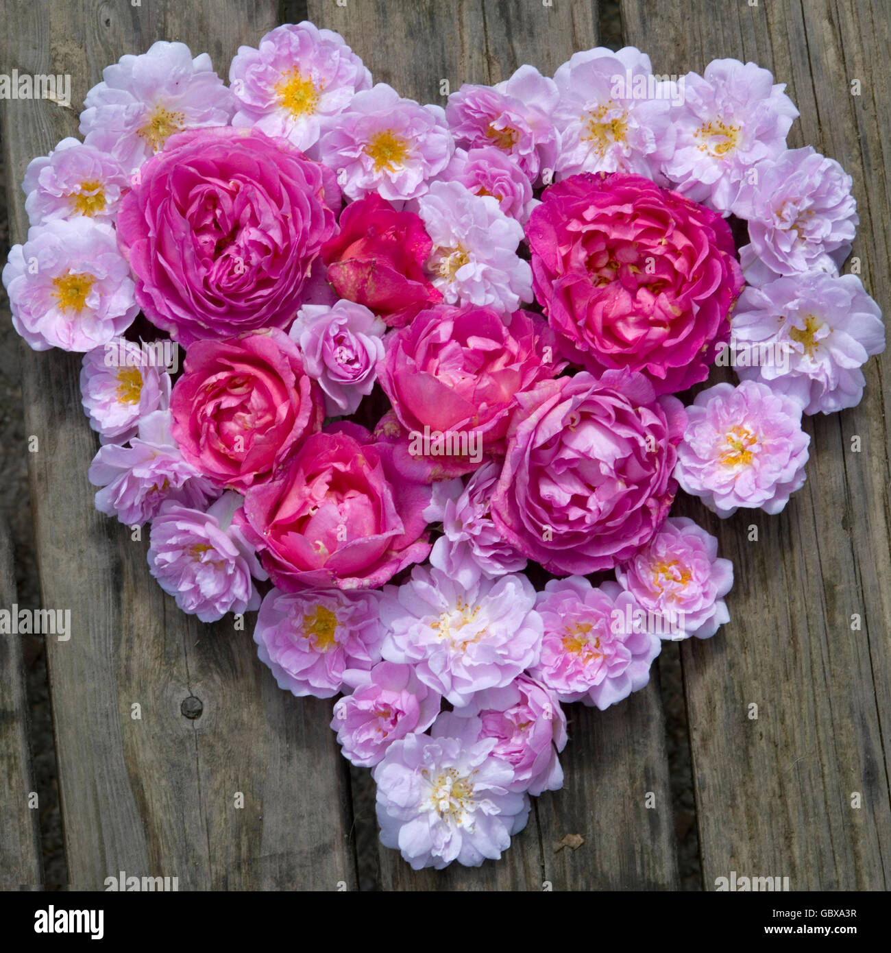 heart of flowers with pink roses in the middle Stock Photo