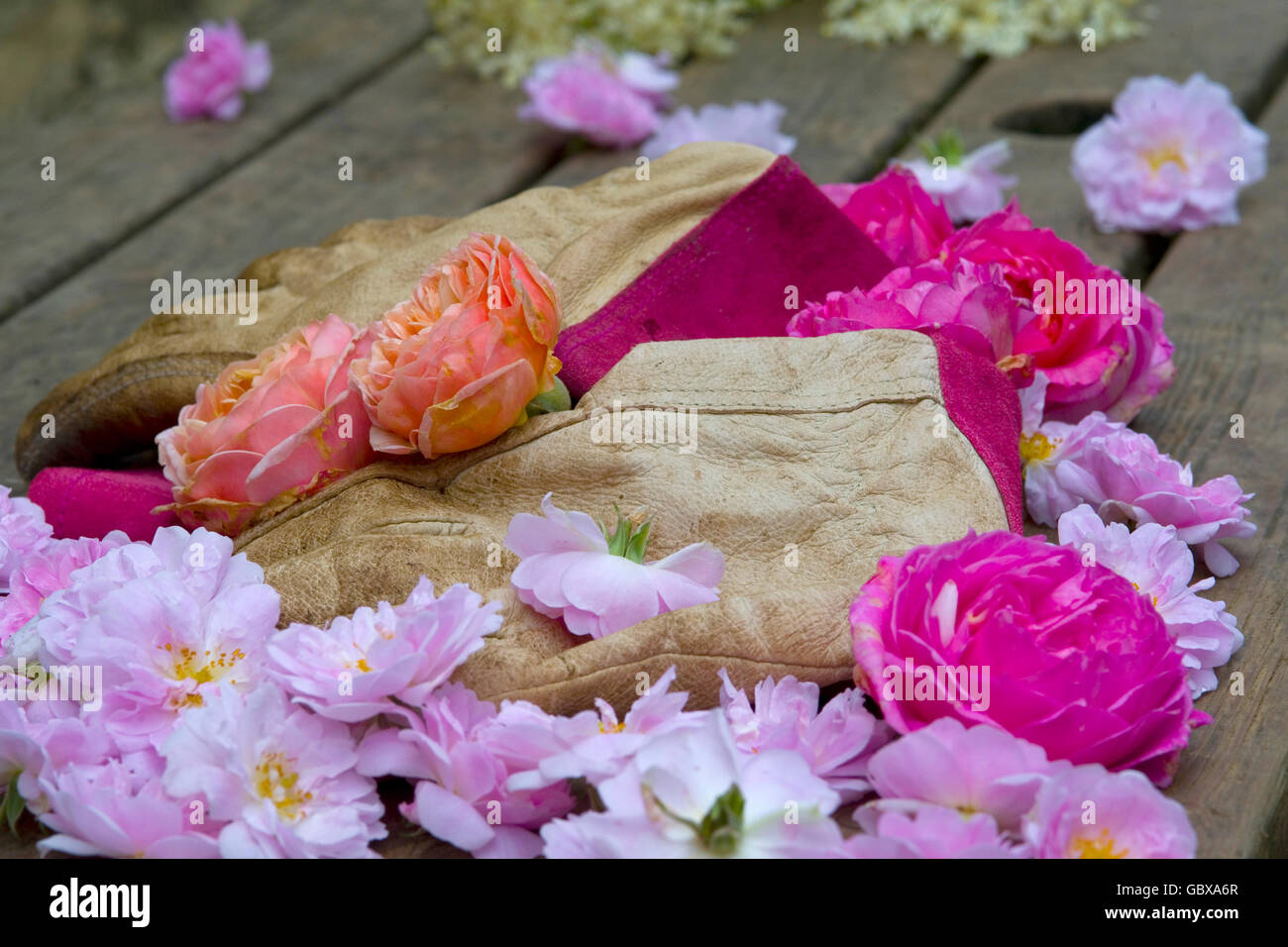 gloves left on table after gardening Stock Photo