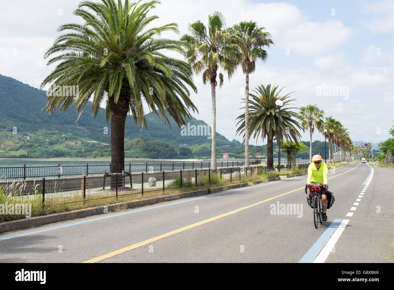 A touring cyclist cycling along a coastal road, lined with palm trees, on Ikuchi Island in the Seto Inland Sea. Stock Photo