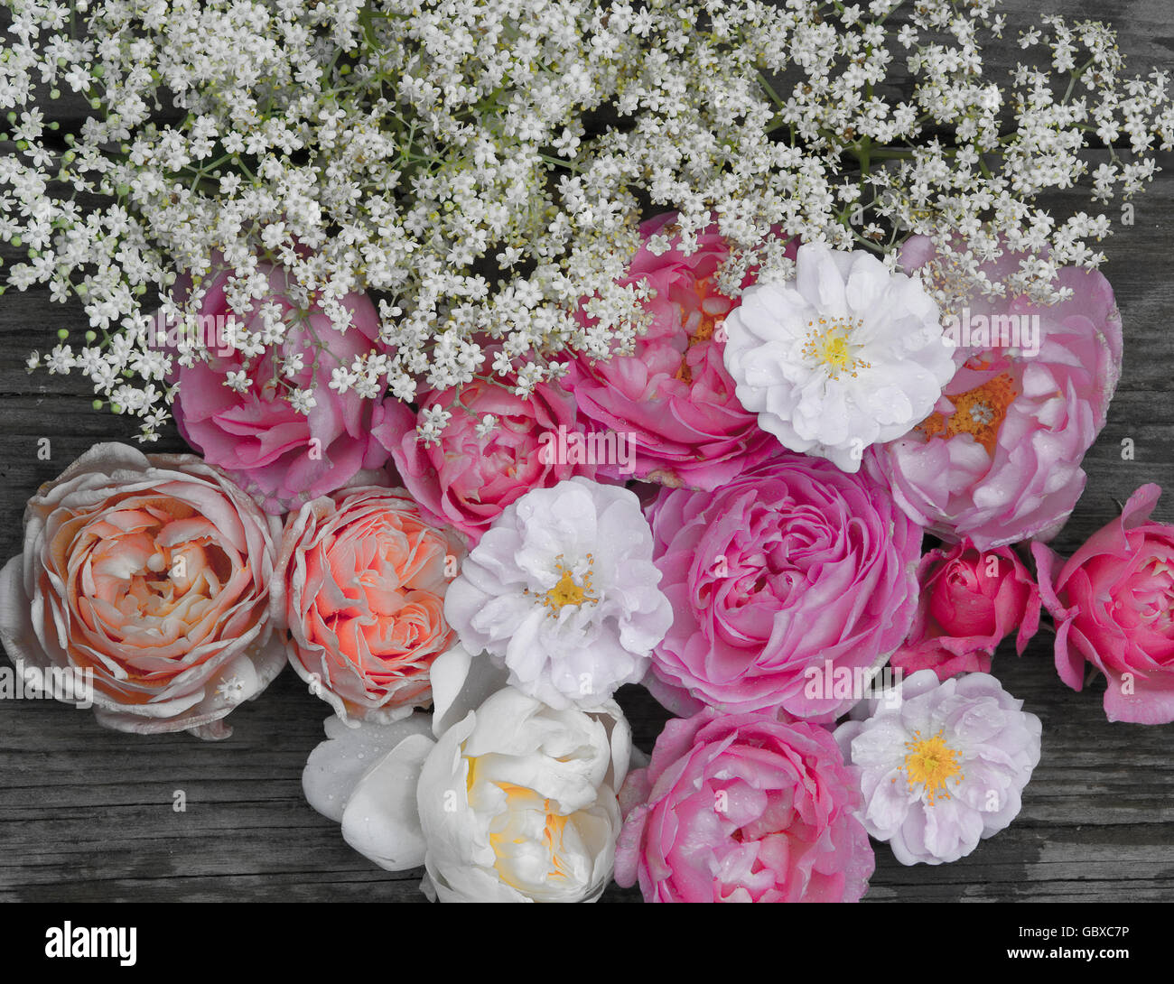 Mixture of roses and elderflower Stock Photo
