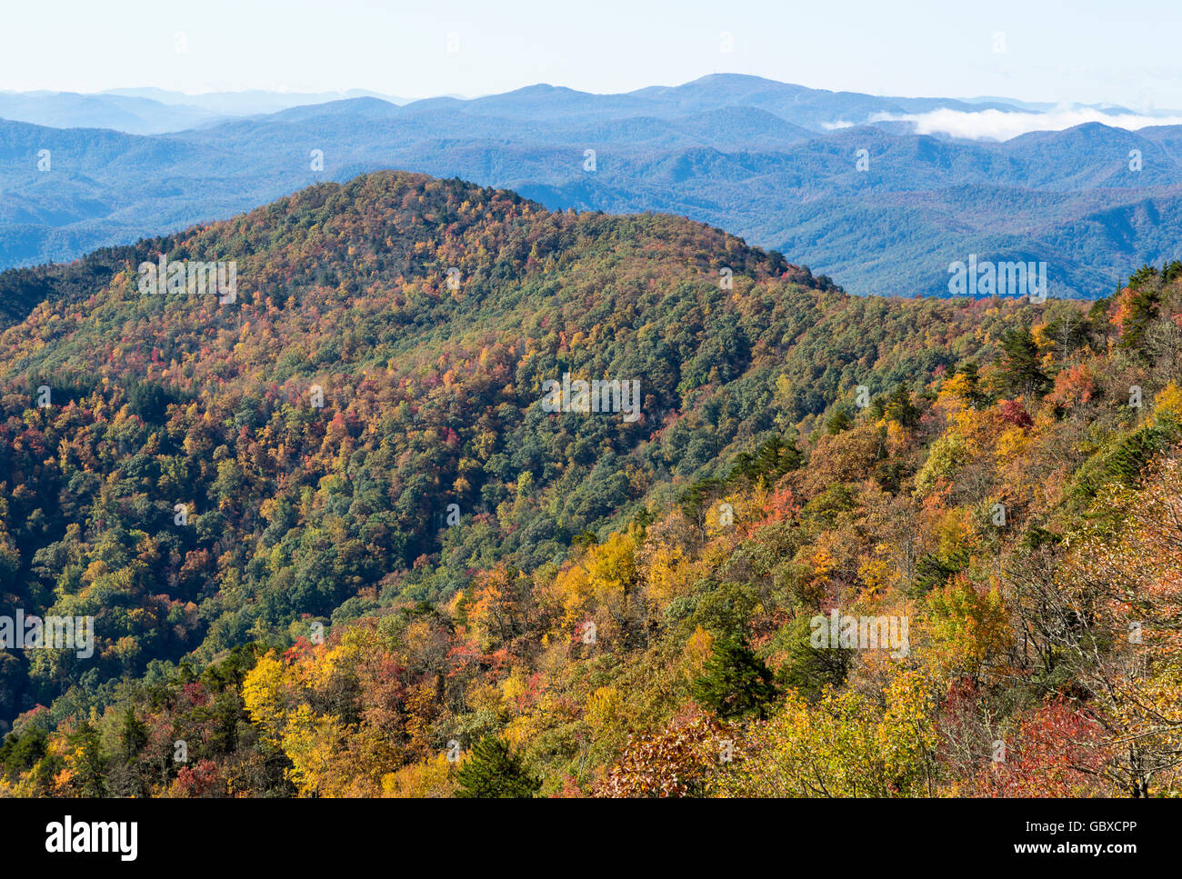Mountain trees in the fall Blue Ridge Parkway, NC Stock Photo