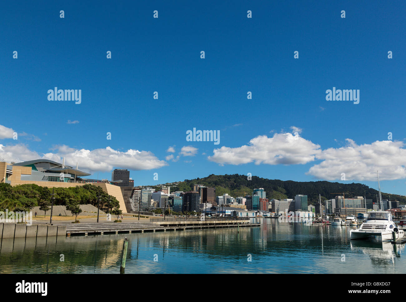 Wellington skyline and Te Papa Museum, New Zealand Stock Photo