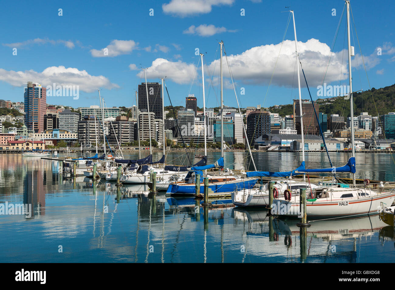 Wellington skyline and yacht marina, New Zealand Stock Photo