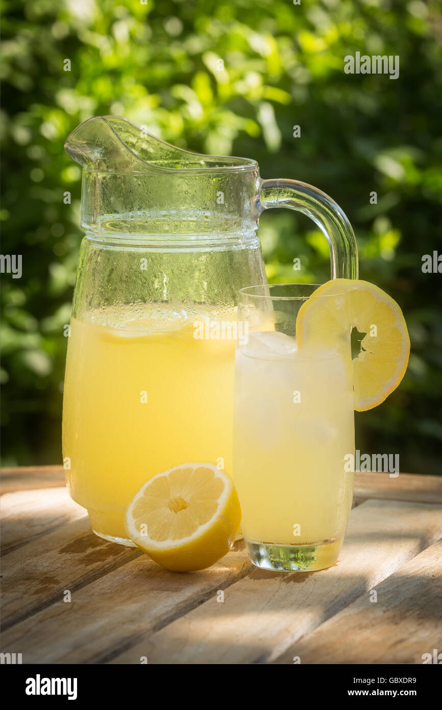 Glass Jug Lemon Slice - Coast to Coast main image 1