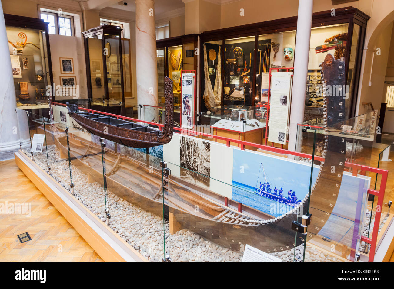 Cambridgeshire, Cambridge, University Museum of Archeology and Anthropology, Model of a Maori War Canoe from New Zealand Stock Photo