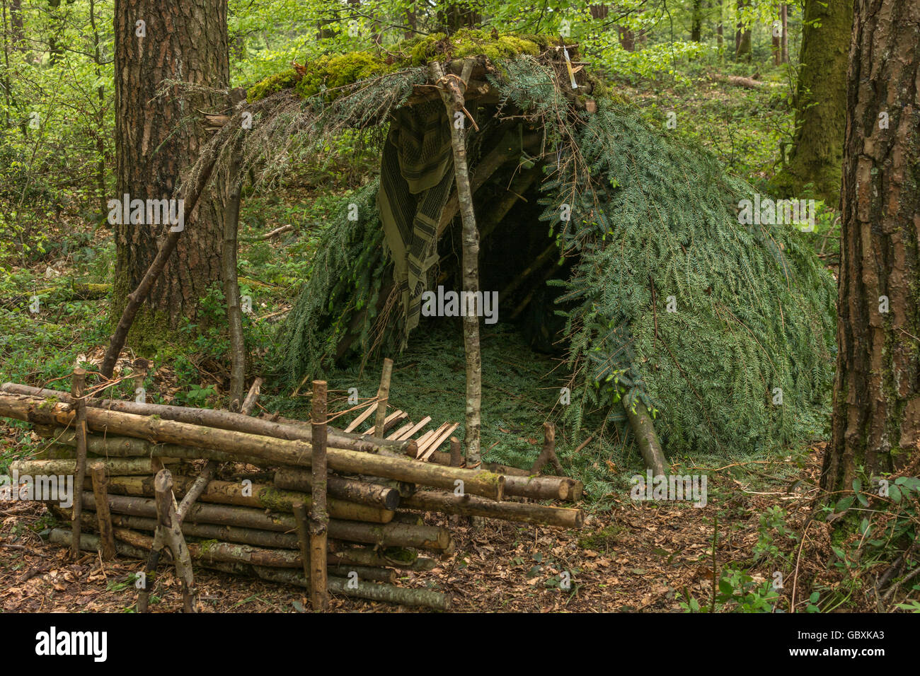 Survival shelter and survivor concept. A-frame shelter construction shelter with log fire reflector in front of shelter opening. Stock Photo