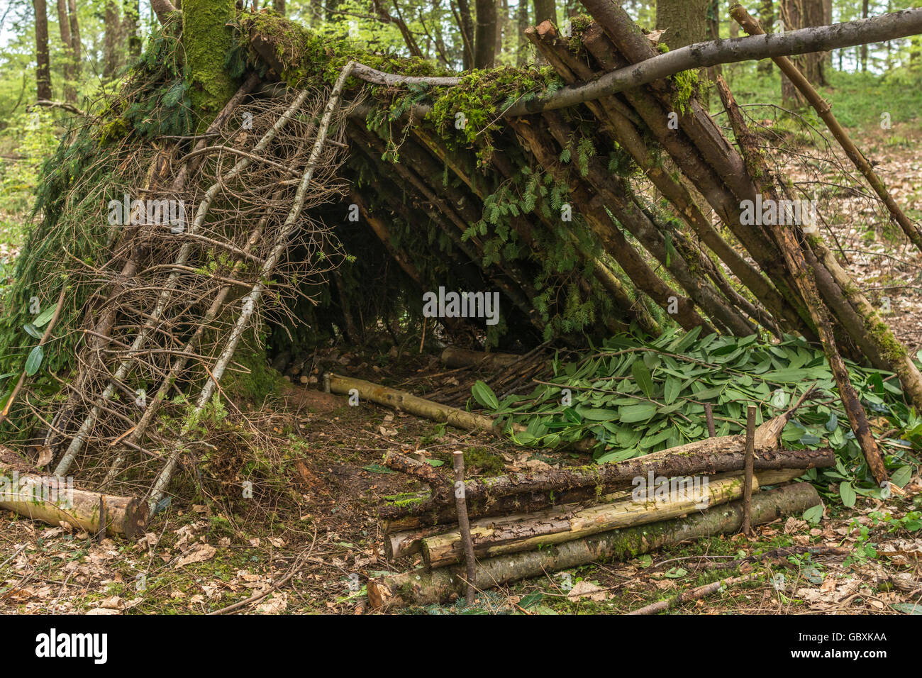 Survival shelter and survivor concept. A-frame shelter construction shelter with log fire reflector in front of shelter opening.