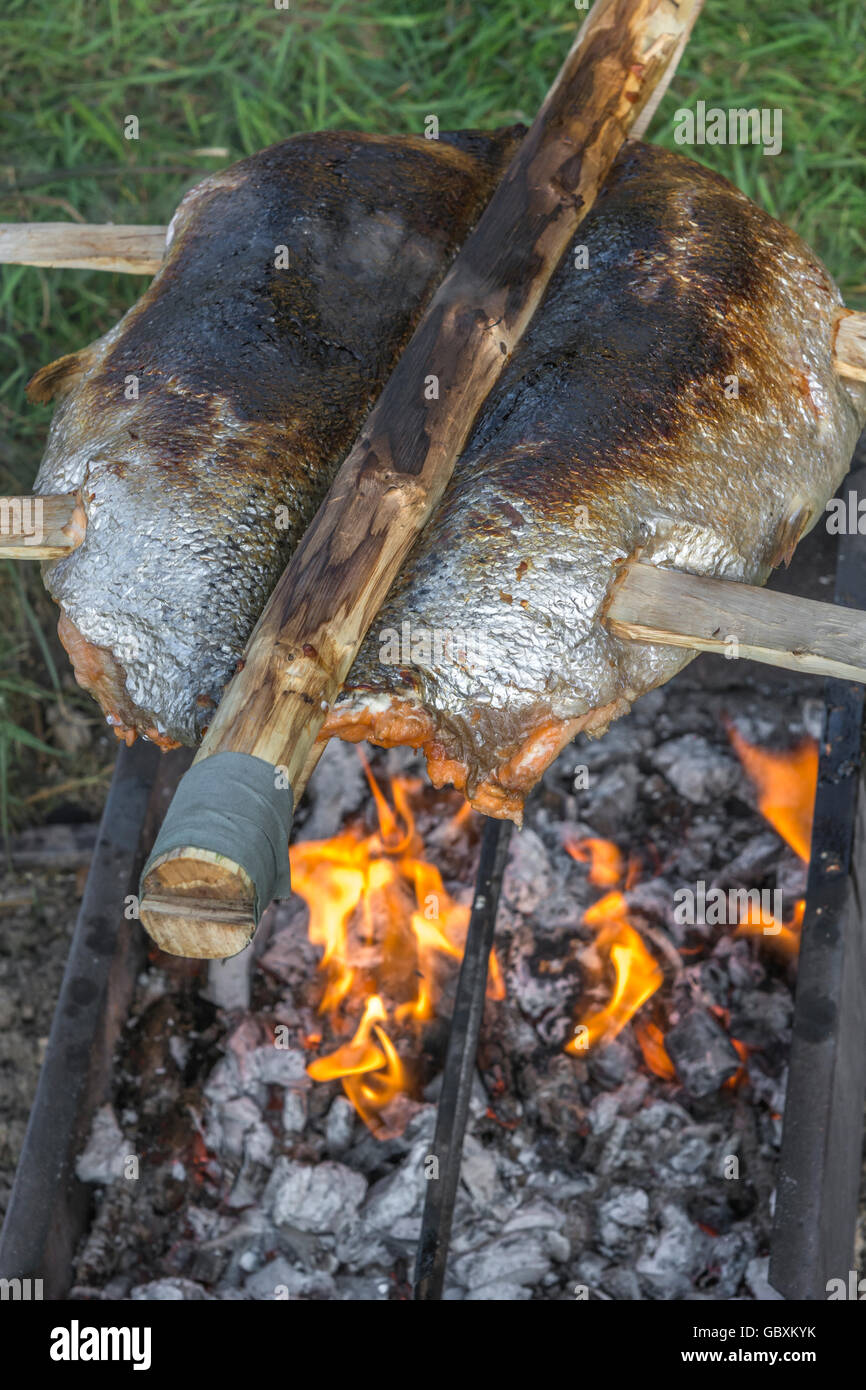 Ponassing a fish (Salmon) as a visual metaphor for survival food and outdoor cooking. Stock Photo