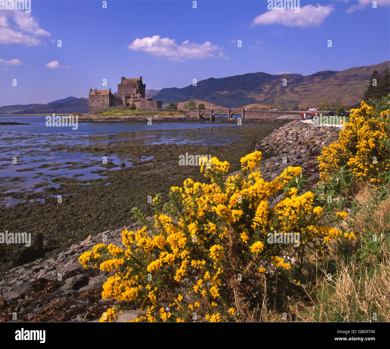 Eilean Donan Castle, Loch Duich, N/W Highlands Stock Photo