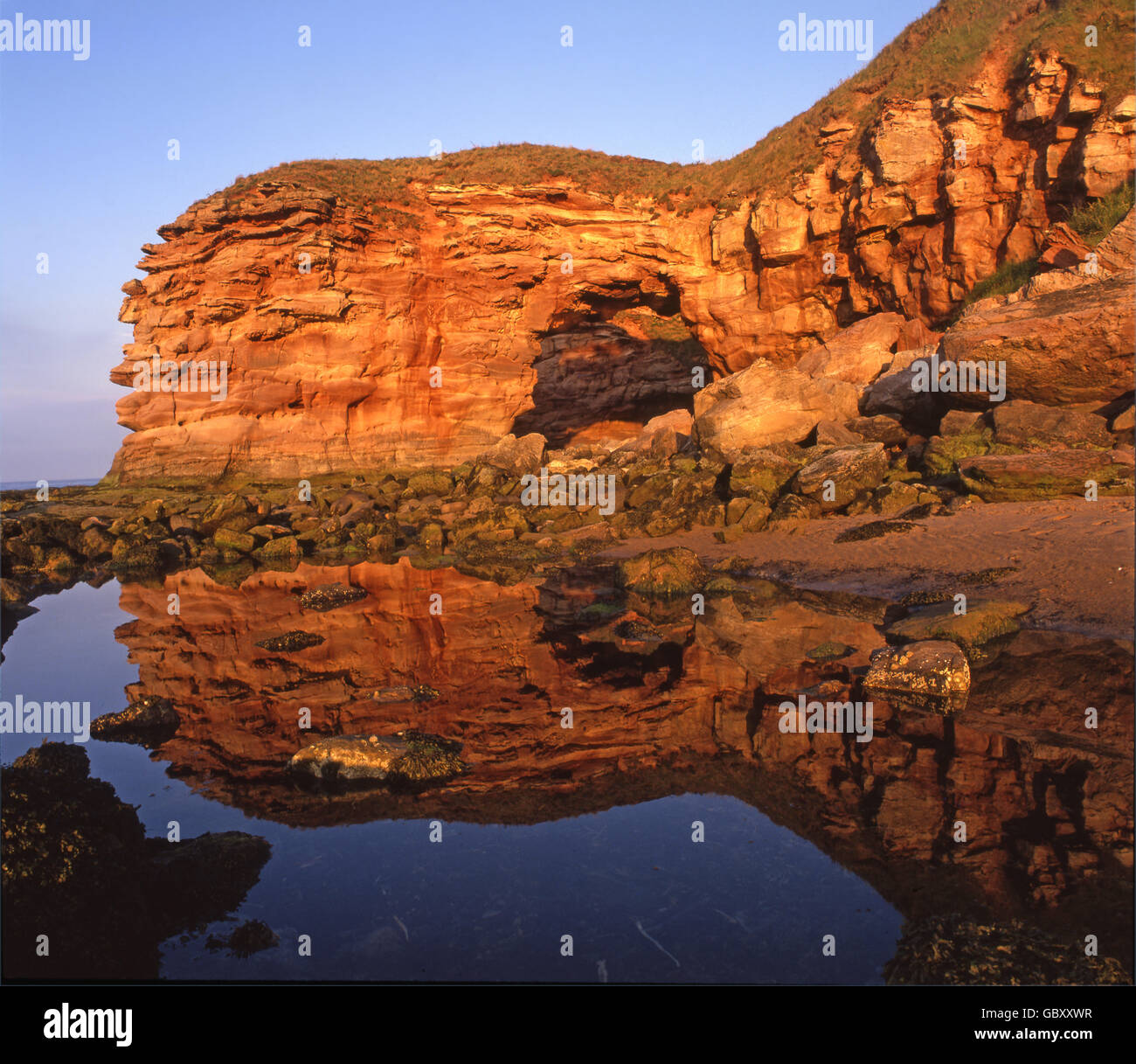 Sandstone Sea Arch, nr Torness, East Lothian Stock Photo