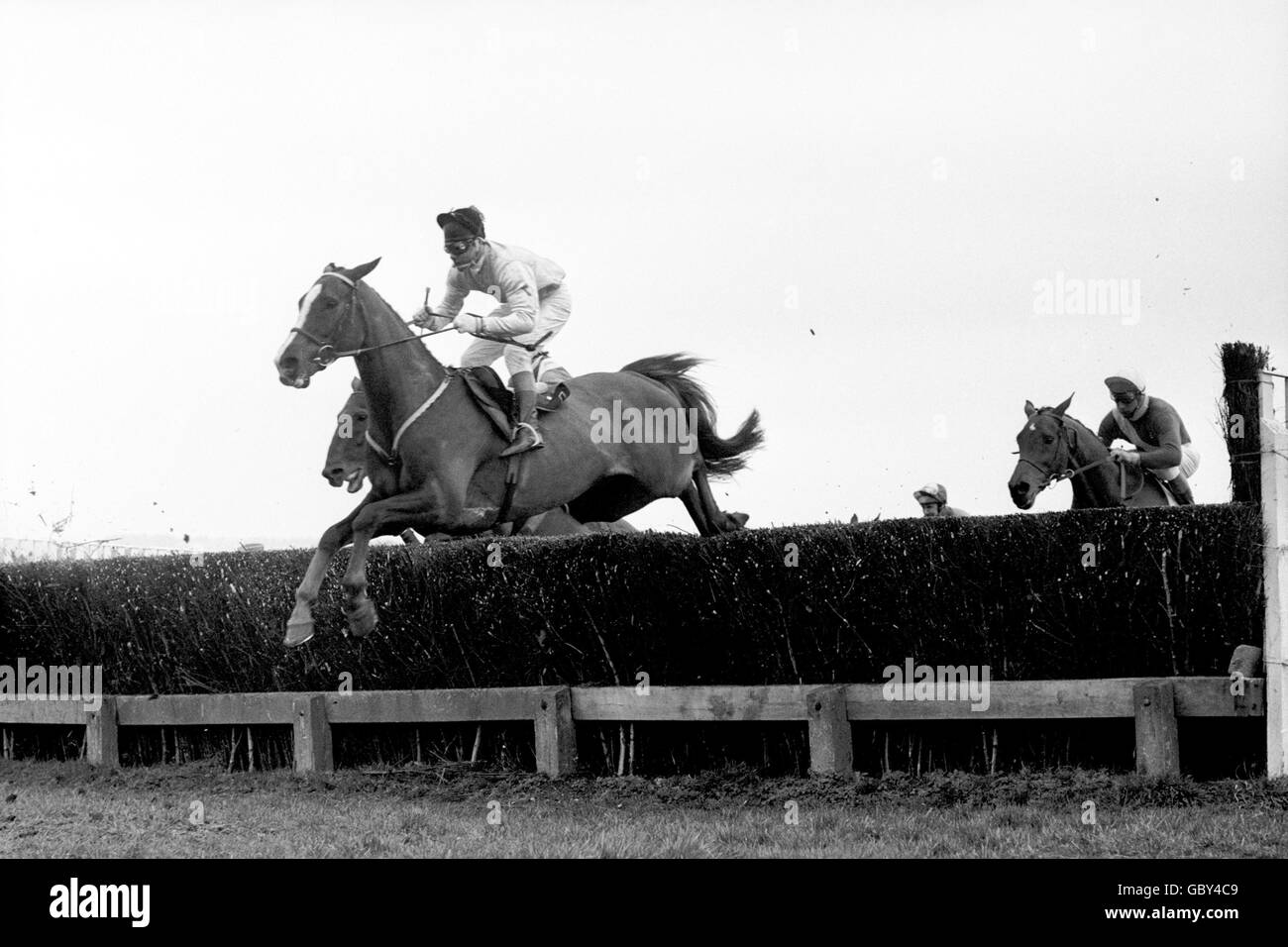 Game Spirit, Bill Smith up, clears a fence during the race, after which he collapsed and died Stock Photo