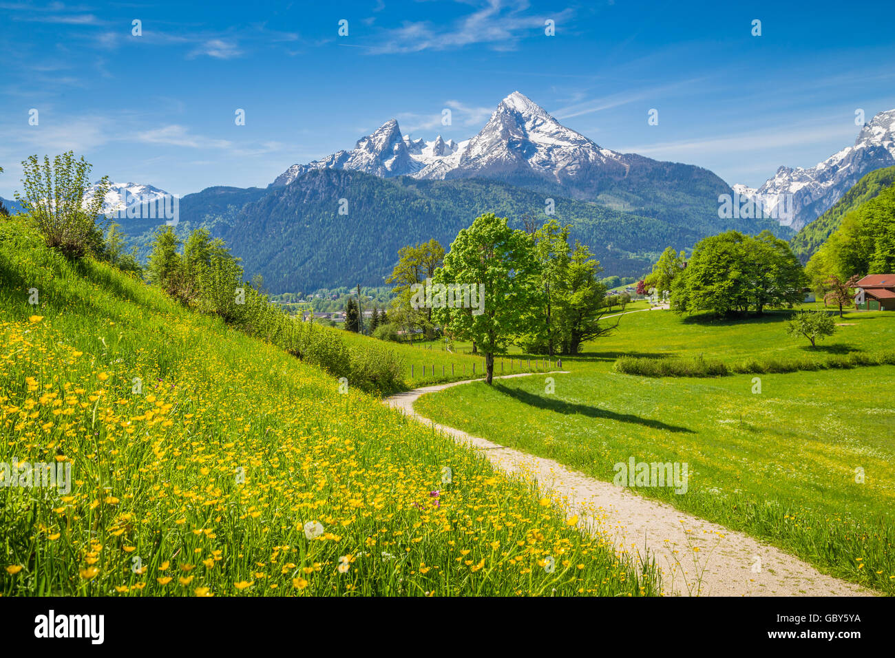 Idyllic landscape in the Alps with fresh green mountain pastures and snow-capped mountain tops in the background in summer Stock Photo