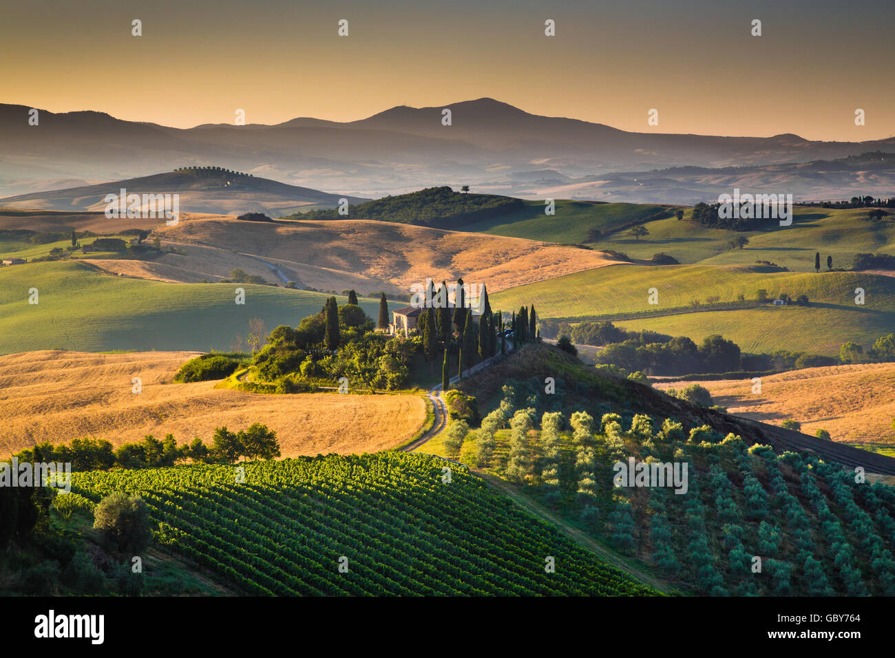 Scenic Tuscany landscape with rolling hills and valleys in golden morning light at sunrise in summer, Val d'Orcia, Italy Stock Photo