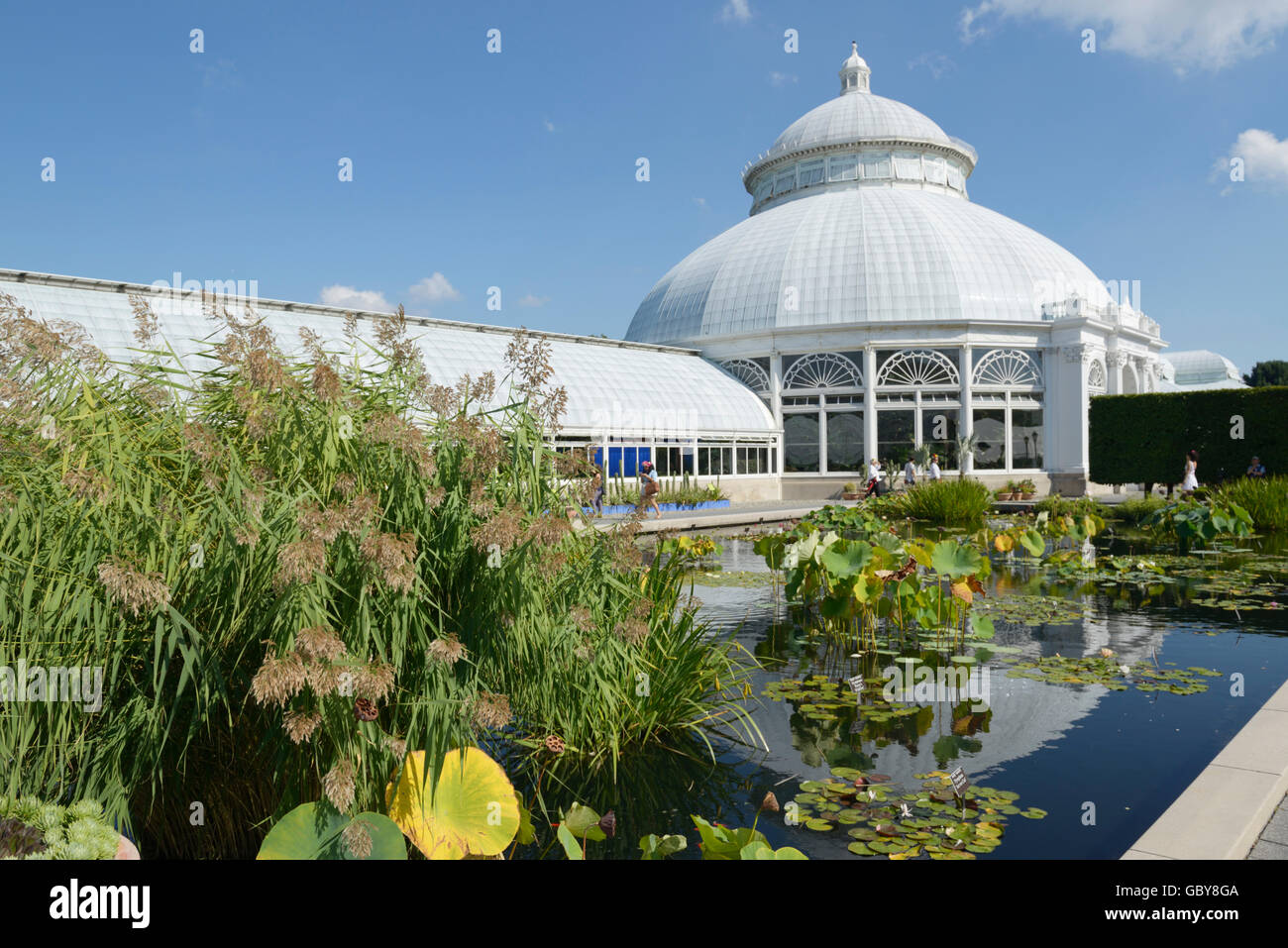 Aquatic botanical garden hires stock photography and images Alamy