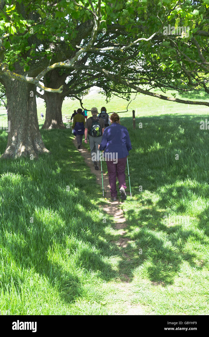 dh Cotswold Way COTSWOLDS GLOUCESTERSHIRE Winchcombe walking festival rambler group hiking field footpath uk summer people england walkers Stock Photo