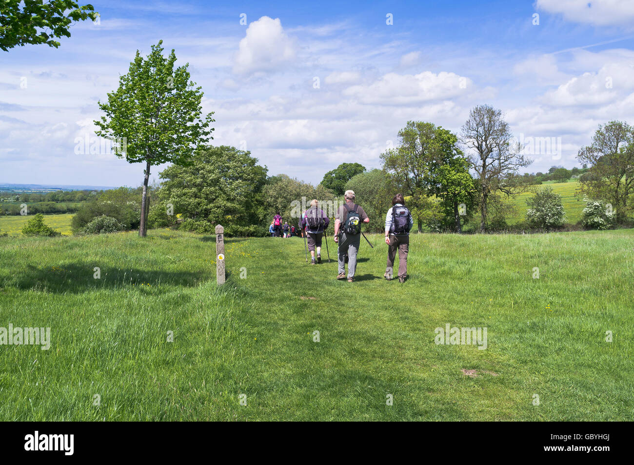 dh Cotswold Way COTSWOLDS GLOUCESTERSHIRE walking festival rambler group hiking field
